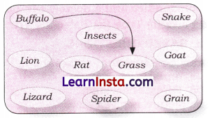 How Nature Works in Harmony Class 8 Extra Questions and Answers Science Chapter 12 3
