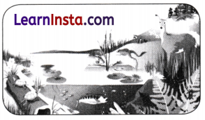 How Nature Works in Harmony Class 8 Extra Questions and Answers Science Chapter 12 4