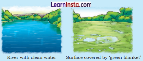 Journey of a River Class 5 Question Answer EVS Chapter 2 3