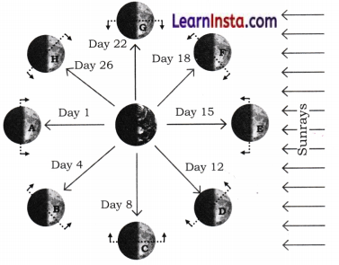 Keeping Time with the Skies Class 8 Extra Questions and Answers Science Chapter 11 1