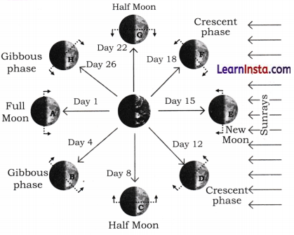 Keeping Time with the Skies Class 8 Extra Questions and Answers Science Chapter 11 2