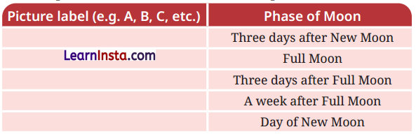 Keeping Time with the Skies Class 8 Questions and Answers Science Chapter 11 3