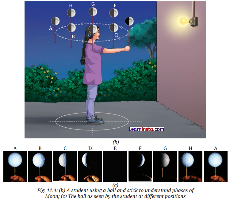 Keeping Time with the Skies Class 8 Questions and Answers Science Chapter 11 7