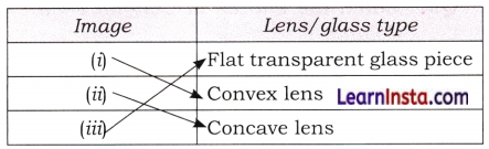 Light Mirrors and Lenses Class 8 Questions and Answers Science Chapter 10 11