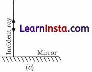Light Mirrors and Lenses Class 8 Questions and Answers Science Chapter 10 3