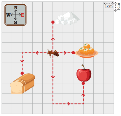 Maps and Locations Class 5 Solutions Question Answer Maths Chapter 14 6