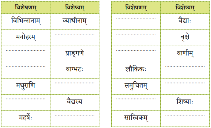 NCERT Class 8 Sanskrit Chapter 9 Question Answer Solutions कोऽरुक् कोऽरुक् कोऽरुक् 2