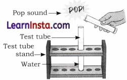 Nature of Matter Element Compounds and Mixtures Class 8 Extra Questions and Answers Science Chapter 8 2