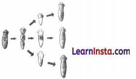 Our Home Earth A Unique Life Sustaining Planet Class 8 Extra Questions and Answers Science Chapter 13 3