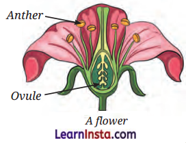 Our Home Earth a Unique Life Sustaining Planet Class 8 Notes Science Chapter 13 4