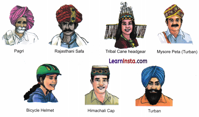 Our Vibrant Country Class 5 Question Answer EVS Chapter 5 7