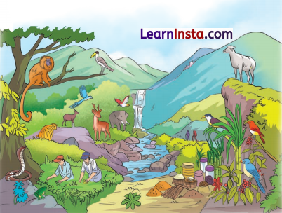 Some Unique Places Class 5 Question Answer EVS Chapter 6 2