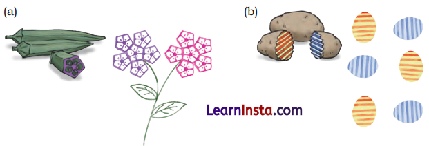 Symmetrical Designs Class 5 Solutions Question Answer Maths Chapter 10 25