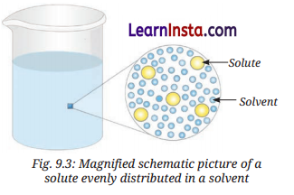 The Amazing World of Solutes, Solvents, and Solutions Class 8 Notes Science Chapter 9 1
