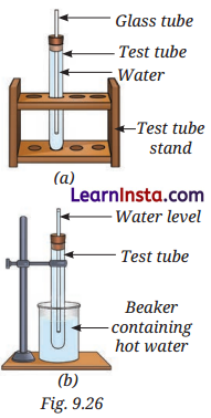 The Amazing World of Solutes, Solvents, and Solutions Class 8 Questions and Answers Science Chapter 9 1