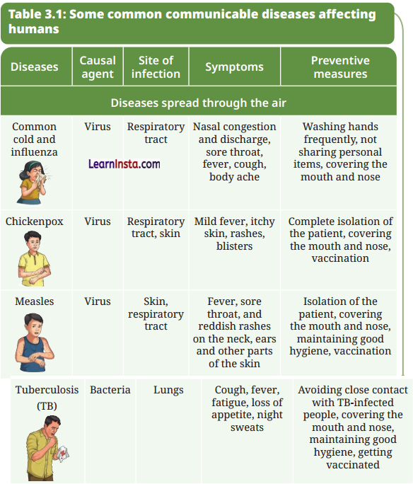 The Invisible Living World Beyond Our Naked Eye Class 8 Extra Questions and Answers Science Chapter 2 6