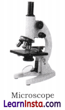 The Invisible Living World Beyond Our Naked Eye Class 8 Notes Science Chapter 2 1