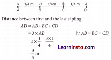 Working with Fractions Class 7 Extra Questions Maths Chapter 8 7