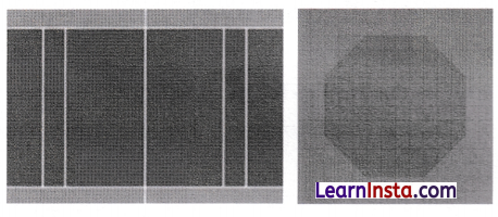 A Square and A Cube Class 8 MCQ Maths Chapter 1 2