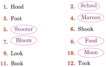 Gone with the Scooter Class 5 Question Answer English Santoor Chapter 2 7