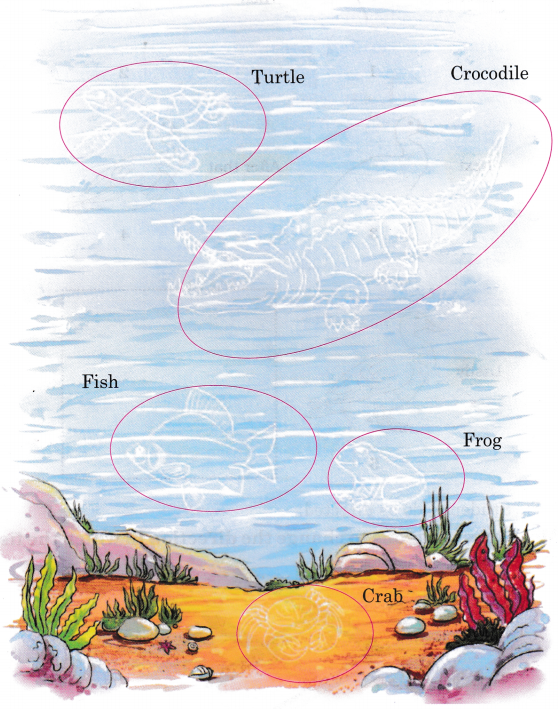 The Frog Class 5 Question Answer English Santoor Chapter 5 3