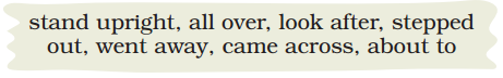 The Wise Parrot Class 5 Question Answer English Santoor Chapter 4 1