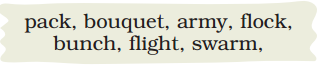 The Wise Parrot Class 5 Question Answer English Santoor Chapter 4 2