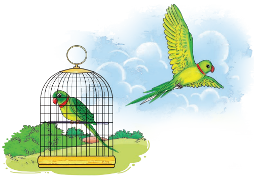 The Wise Parrot Class 5 Question Answer English Santoor Chapter 4 4