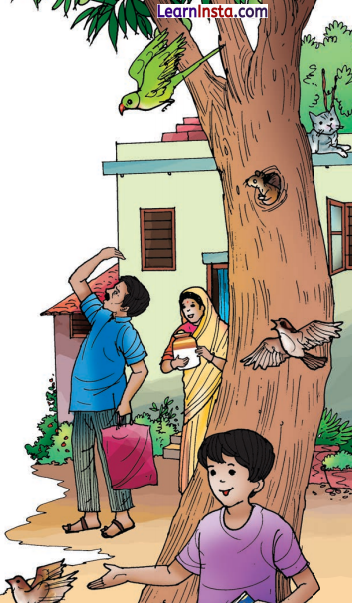 दो गौरैया Class 8 Summary Explanation in Hindi Chapter 1