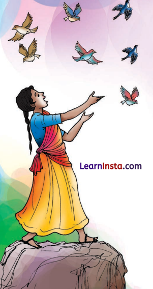 मत बाँधो Class 8 Summary Explanation in Hindi Chapter 7 1