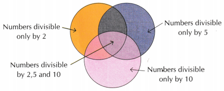 Animal Jumps Class 5 Worksheet with Answers Maths Chapter 13 11