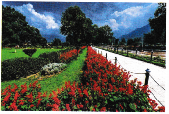 Glass Bangles Class 5 Worksheet with Answers English Chapter 10 3