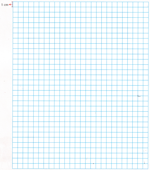 Grandmother’s Quilt Class 5 Worksheet with Answers Maths Chapter 11 12