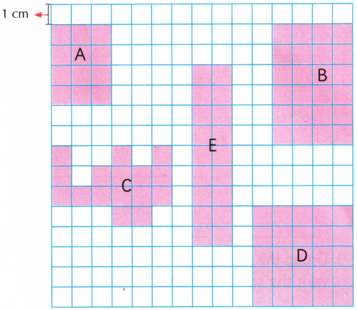 Grandmother’s Quilt Class 5 Worksheet with Answers Maths Chapter 11 6