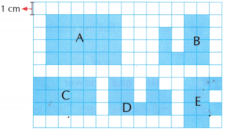 Grandmother’s Quilt Class 5 Worksheet with Answers Maths Chapter 11 9