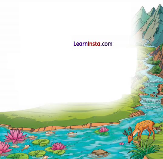 Journey of a River Class 5 Notes EVS Chapter 2 1