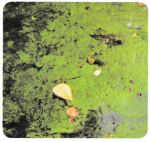 Journey of a River Class 5 Worksheet with Answers EVS Chapter 2 3