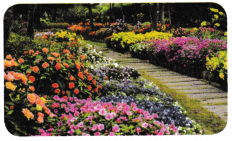 Rhythms of Nature Class 5 Worksheet with Answers EVS Chapter 9 2