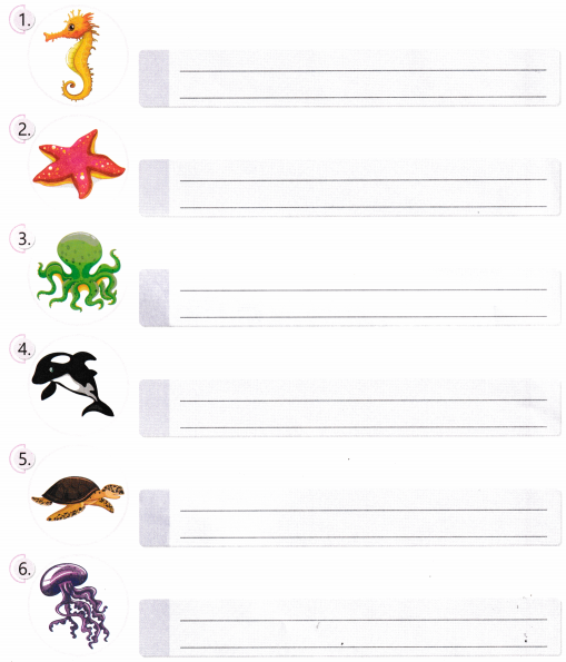 Some Unique Places Class 5 Worksheet with Answers EVS Chapter 6 3