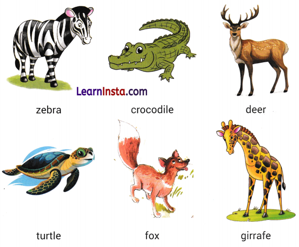 The Frog Class 5 Worksheet with Answers English Chapter 5 6