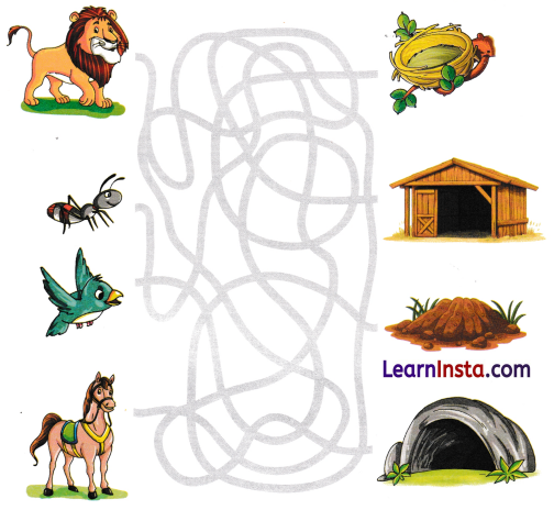 चतुर चित्रकार कविता Class 5 Worksheet with Answers Hindi Chapter 6 2