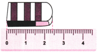 A Peek Beyond the Point Class 7 Worksheet with Answers Maths Chapter 3 1