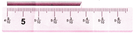 A Peek Beyond the Point Class 7 Worksheet with Answers Maths Chapter 3 2