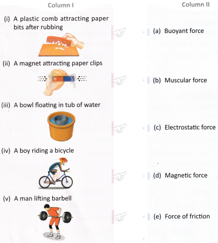 Exploring Forces Class 8 Worksheet with Answers Science Chapter 5 1