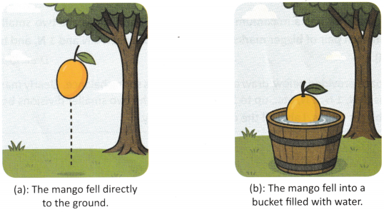 Exploring Forces Class 8 Worksheet with Answers Science Chapter 5 7