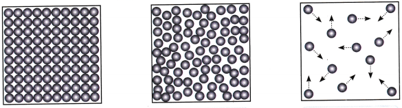 Exploring the Investigative World of Science Class 8 Worksheet with Answers Science Chapter 1 2