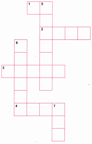 Expressions using Letter Numbers Class 7 Worksheet with Answers Maths Chapter 4 7