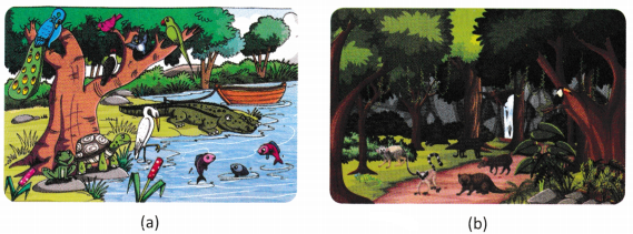 How Nature Works in Harmony Class 8 Worksheet with Answers Science Chapter 12 2