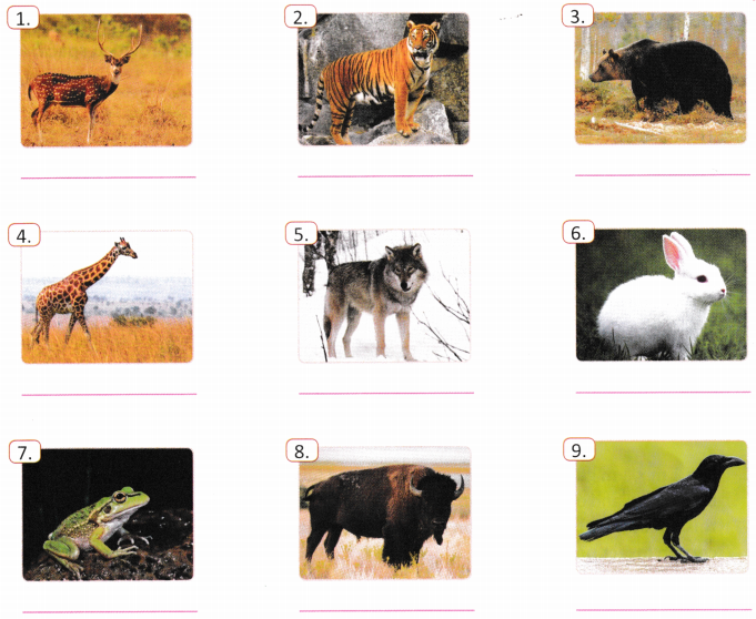 How Nature Works in Harmony Class 8 Worksheet with Answers Science Chapter 12 3