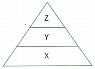 How Nature Works in Harmony Class 8 Worksheet with Answers Science Chapter 12 4